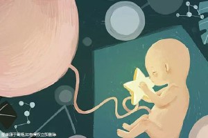 包生男孩中介机构